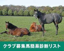 クラブ募集馬簡易診断リスト